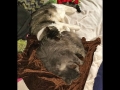 2016-12-07-003