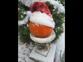 2016-12-08-004