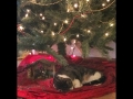 2016-12-17-001