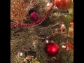 2016-12-24-004