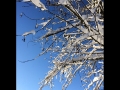 2017-01-12-012