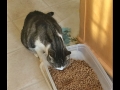 2017-02-11-002