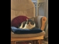 2017-02-11-005