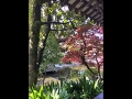 2017-04-21-056