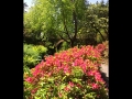 2017-05-21-009
