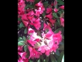 2017-05-21-057
