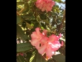 2017-05-21-067