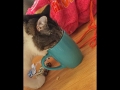 2017-07-02-003