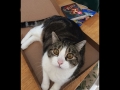2017-07-09-001