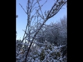 2018-02-21-005